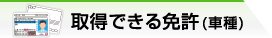 取得できる免許(車種)